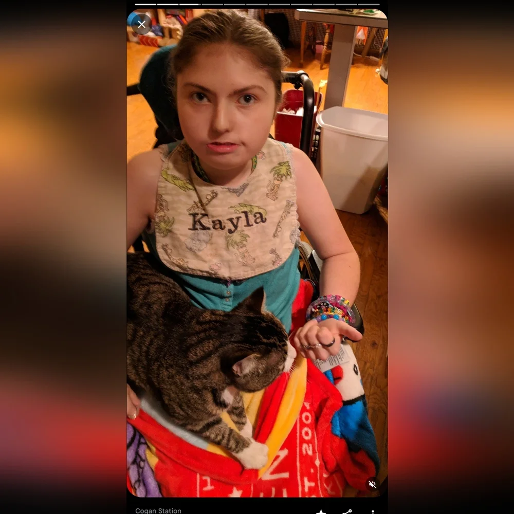 Losing your Cat Comfort Pet Companion